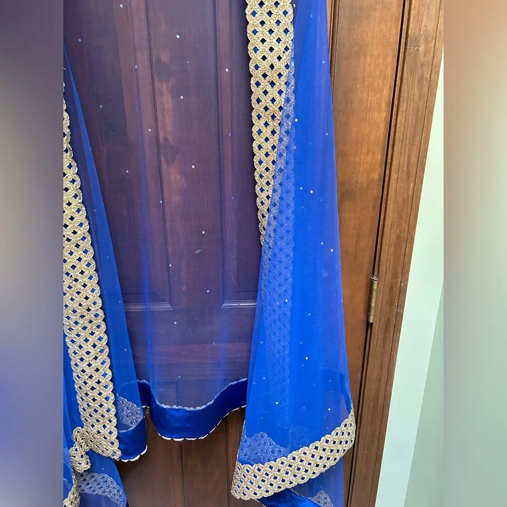 Royal Blue Net Dupatta with Gold Lace Border - Picture 10 of 10